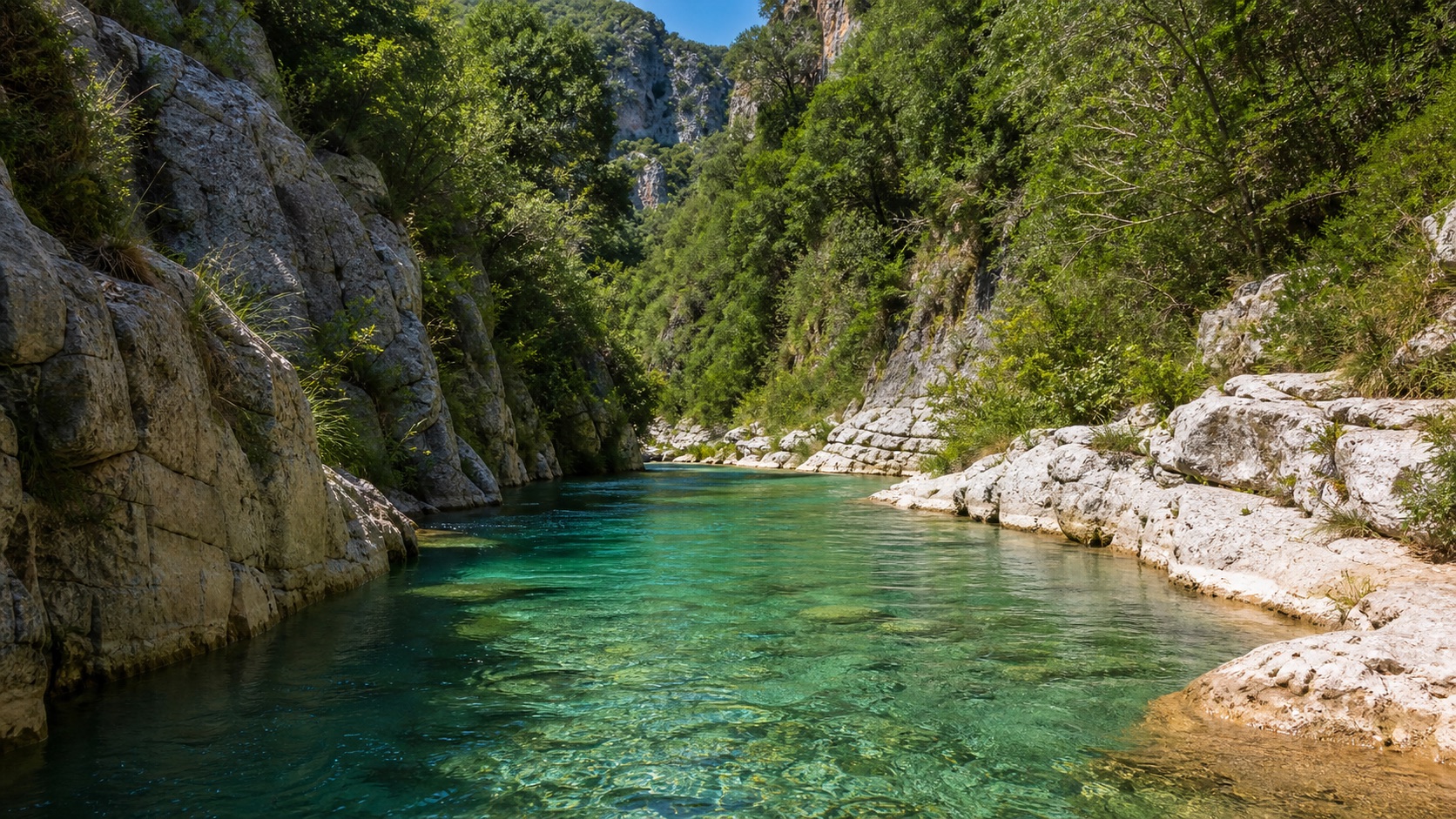 Fiume tra gole rocciose e vegetazione